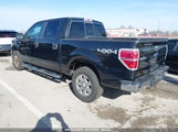 Ford F-150 Fx4/Harley-Davidson/King Ranch/Lariat/Platinum/Xl/Xlt 1FTFW1EV6AFC78192 fotografie