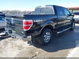 Ford F-150 Fx4/Harley-Davidson/King Ranch/Lariat/Platinum/Xl/Xlt 1FTFW1EV6AFC78192 fotografie