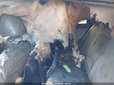 HYUNDAI SONATA GLS 5NPEB4ACXEH915688 снимка