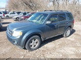 FORD ESCAPE XLT 1FMCU0DG0BKA86616 снимка
