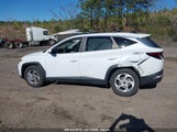 HYUNDAI TUCSON SEL 5NMJB3AE4NH057254 fotografie