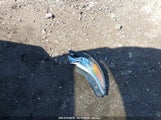 ACURA RDX 5J8TB4H55DL014691 снимка
