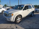 FORD ESCAPE XLT 1FMCU0DG7AKC90134 снимка