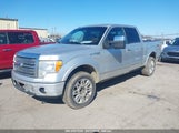 FORD F-150 FX4/HARLEY-DAVIDSON/KING RANCH/LARIAT/PLATINUM/XL/XLT 1FTFW1EV2AFD03329 photo