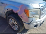 FORD F-150 FX4/HARLEY-DAVIDSON/KING RANCH/LARIAT/PLATINUM/XL/XLT 1FTFW1EV2AFD03329 fotografie