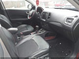JEEP COMPASS TRAILHAWK 4X4 3C4NJDDB9LT127231 снимка
