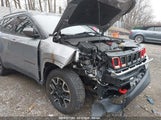 JEEP COMPASS TRAILHAWK 4X4 3C4NJDDB9LT127231 снимка