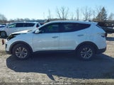 HYUNDAI SANTA FE SPORT 2.4L 5XYZTDLB3GG309310 photo