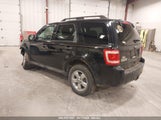 FORD ESCAPE XLT 1FMCU9DG3AKD10576 fotografie