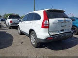 HONDA CR-V EX-L JHLRE38789C010270 photo