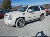 CADILLAC ESCALADE STANDARD 1GYFK53219R121847 снимка