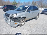 HYUNDAI TUCSON GLS KM8JM12B69U973141 снимка