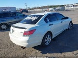 HONDA ACCORD 3.5 EX-L 1HGCP3F83AA006704 photo
