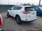 TOYOTA RAV4 LE 2T3BFREV5GW532527 снимка