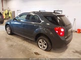 CHEVROLET EQUINOX 1LT 2GNALBEK0E6263063 снимка