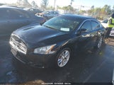 NISSAN MAXIMA 3.5 SV 1N4AA5APXBC837145 снимка