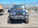 JEEP WRANGLER SPORT 1J4FA49S03P343285 снимка