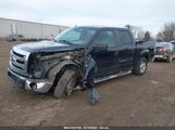 FORD F-150 XLT 1FTFW1ETXEFC11518 снимка