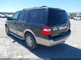 FORD EXPEDITION EDDIE BAUER/KING RANCH 1FMFU18589LA12389 fotografie