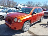 JEEP COMPASS SPORT 1J4NT4FB3AD541125 снимка