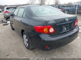 TOYOTA COROLLA LE 2T1BU40E09C129259 снимка