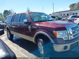 FORD F-150 FX4/HARLEY-DAVIDSON/KING RANCH/LARIAT/PLATINUM/XL/XLT 1FTFW1EV1AFB67453 photo
