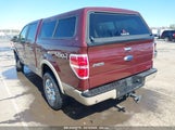 FORD F-150 FX4/HARLEY-DAVIDSON/KING RANCH/LARIAT/PLATINUM/XL/XLT 1FTFW1EV1AFB67453 fotografie