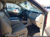 FORD F-150 FX4/HARLEY-DAVIDSON/KING RANCH/LARIAT/PLATINUM/XL/XLT 1FTFW1EV1AFB67453 photo