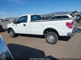 FORD F-150 XL 1FTMF1CM5BKD83624 снимка