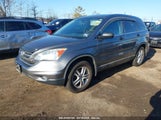 HONDA CR-V EX 5J6RE4H52AL039991 снимка