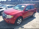 FORD ESCAPE XLT 1FMCU03GX9KB55551 снимка