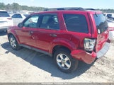 FORD ESCAPE XLT 1FMCU03GX9KB55551 снимка