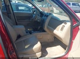 FORD ESCAPE XLT 1FMCU03GX9KB55551 снимка