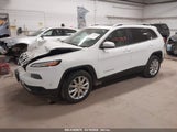 JEEP CHEROKEE LIMITED 1C4PJMDS0GW219109 снимка