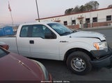 FORD F-150 XL 1FTFX1CF0DKF21158 снимка