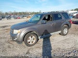 FORD ESCAPE XLT 1FMCU0D7XCKB94131 снимка