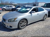 NISSAN MAXIMA 3.5 SV 1N4AA5AP0BC864449 снимка