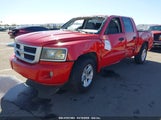 RAM DAKOTA BIGHORN/LONESTAR 1D7RE3GK8BS511681 снимка