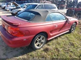 FORD MUSTANG 1FALP4446RF124643 снимка