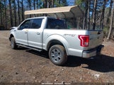 FORD F-150 XLT 1FTEW1EP1HFB31060 снимка