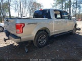 FORD F-150 XLT 1FTEW1EP1HFB31060 снимка