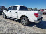 FORD F-150 XLT 1FTFW1CF9EKF31997 снимка