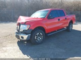 FORD F-150 XLT 1FTFW1EF6EFB32387 снимка