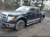 FORD F-150 XLT 1FTFW1ET1DFA13392 снимка
