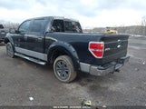 FORD F-150 XLT 1FTFW1ET1DFA13392 снимка