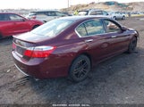 HONDA ACCORD EX 1HGCR2F77DA087979 снимка