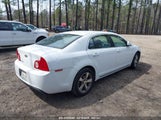 CHEVROLET MALIBU 1LT 1G1ZC5E10BF170462 снимка