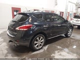 NISSAN MURANO LE JN8AZ1MW6CW225866 снимка