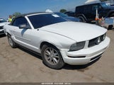 FORD MUSTANG V6 DELUXE/V6 PREMIUM 1ZVFT84N175296159 photo