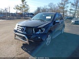 MERCEDES-BENZ ML 350 4MATIC 4JGBB8GBXAA540813 fotografie